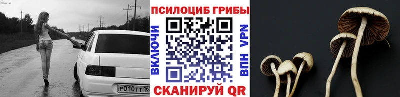 Купить закладки  Миллерово  Галлюциногенные грибы ЛСД 